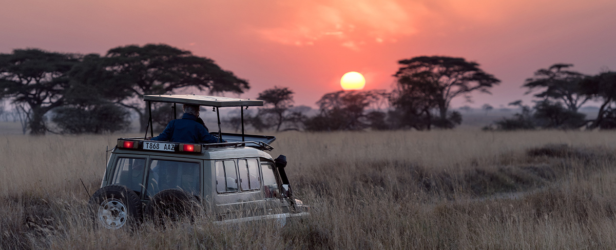 sundown-safari
