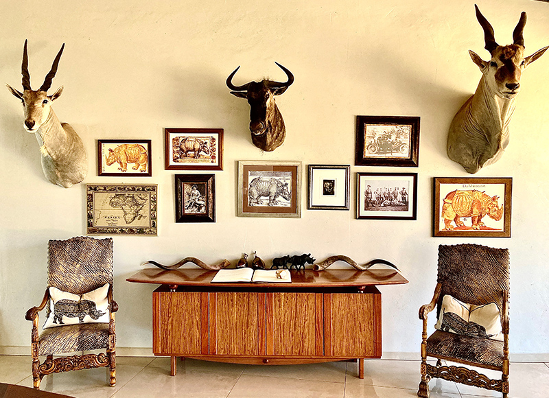 Animal trophies wall-mounted