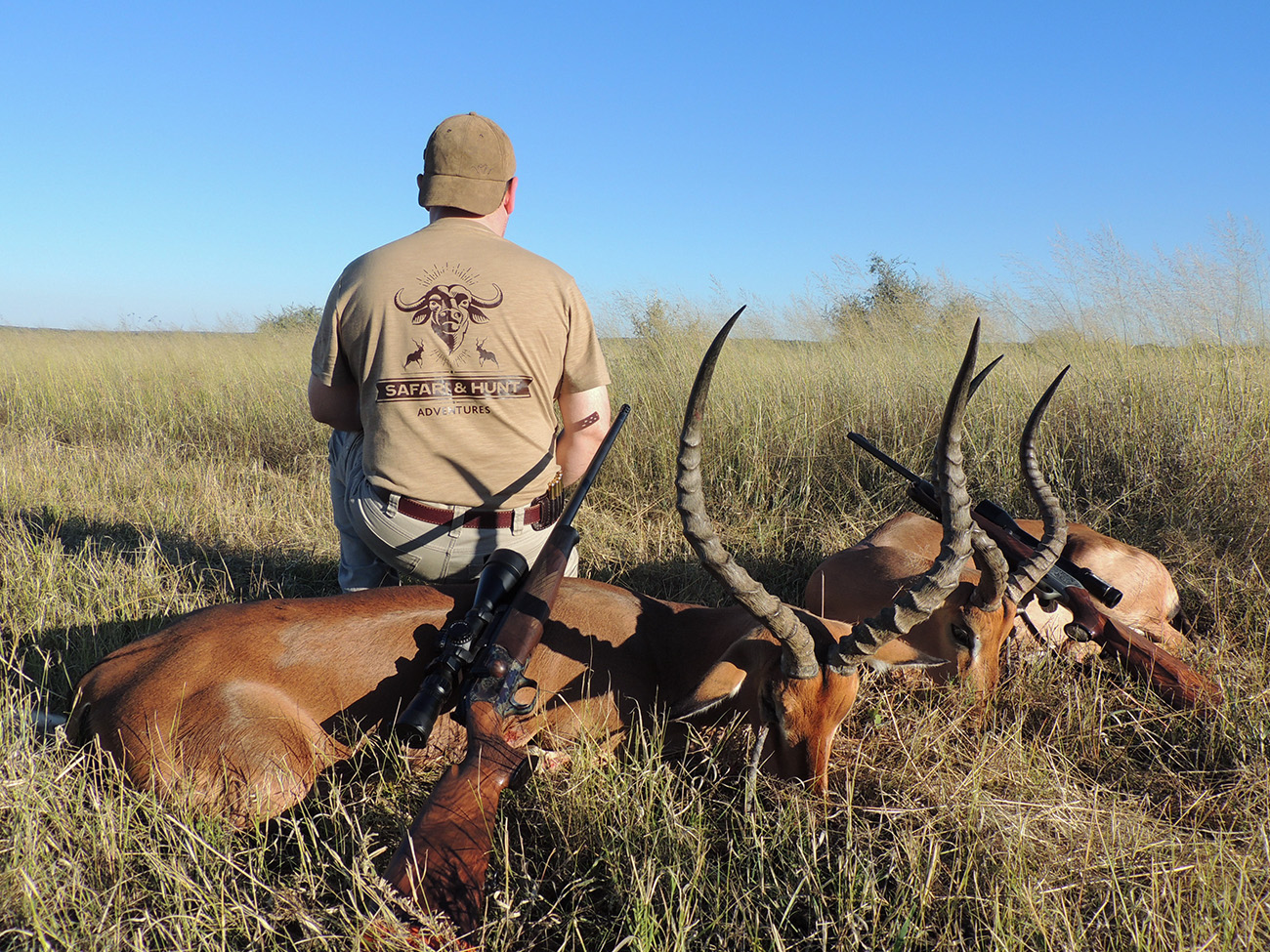 Safari Hunt Adventures Impalas