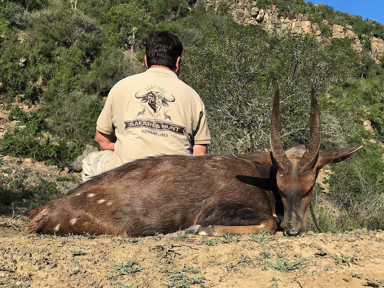 Safari Hunt Adventures Bushbuck