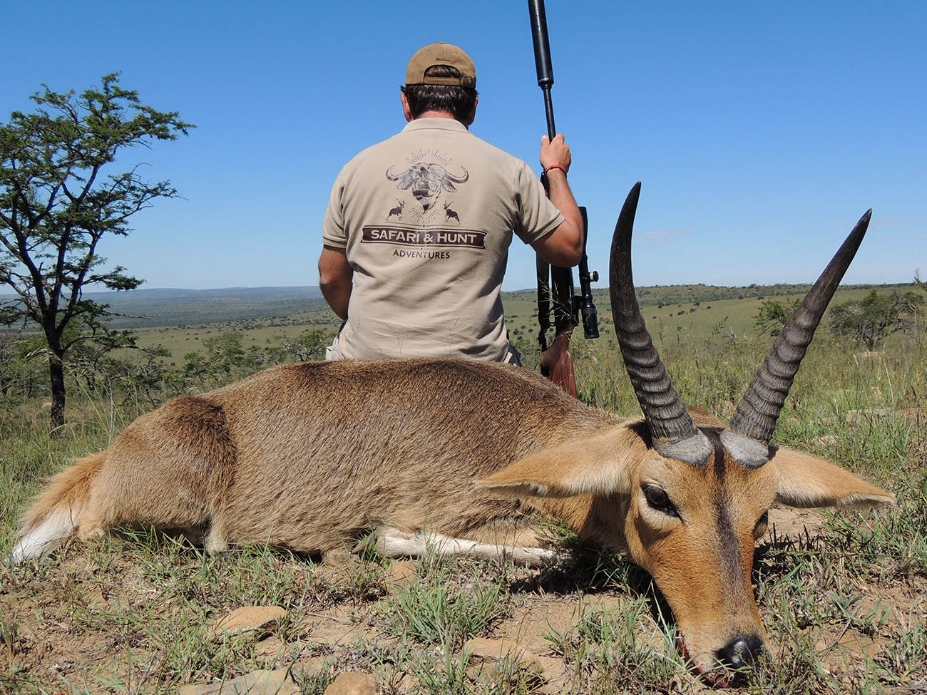 Safari Hunt Adventures Reedbuck