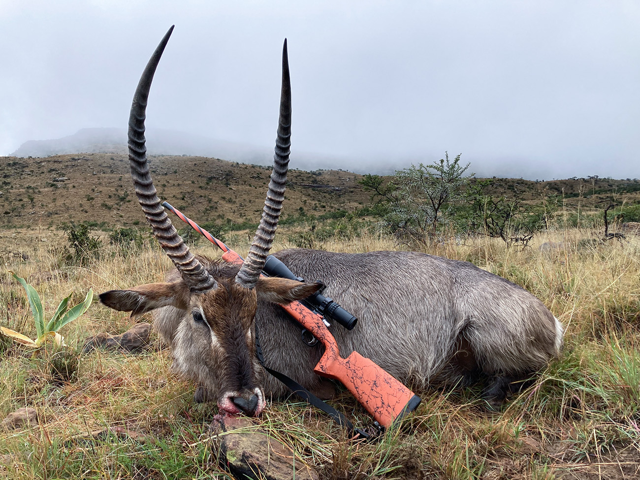 Namibia trophy