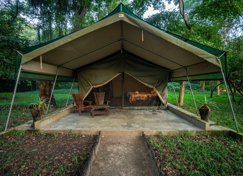 mozambique tent