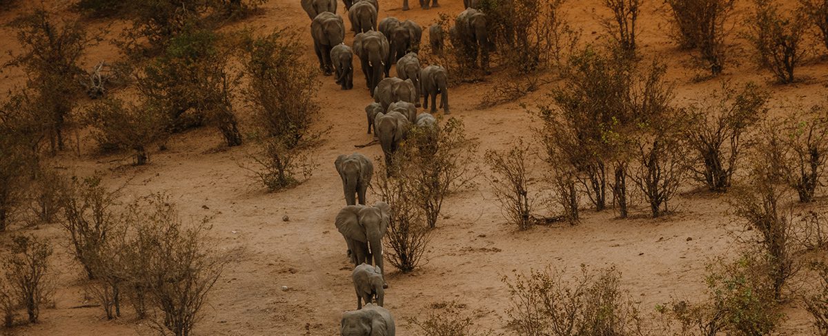 zimbabwe landscape