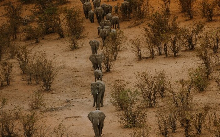 zimbabwe landscape